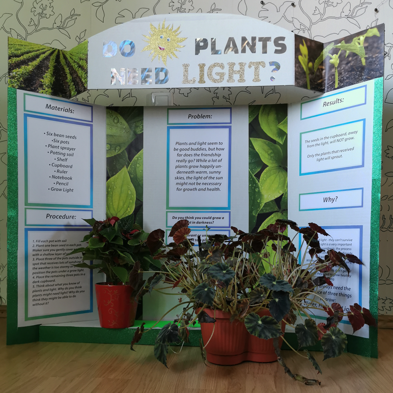Light Science Fair Projects For Kids